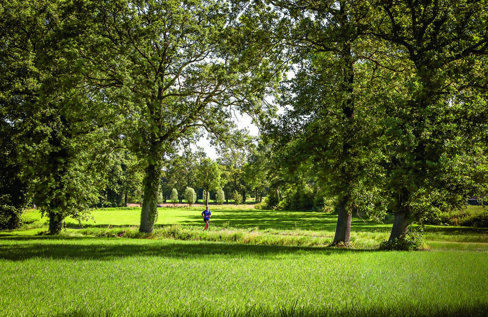 natuur.jpg