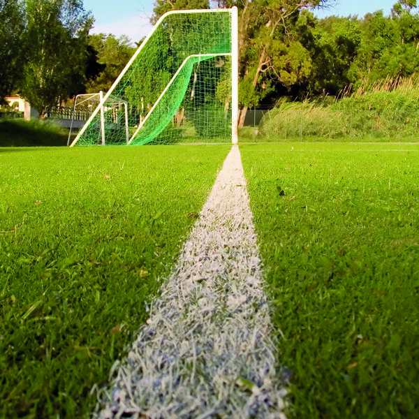 voetbalveld met goal.jpg