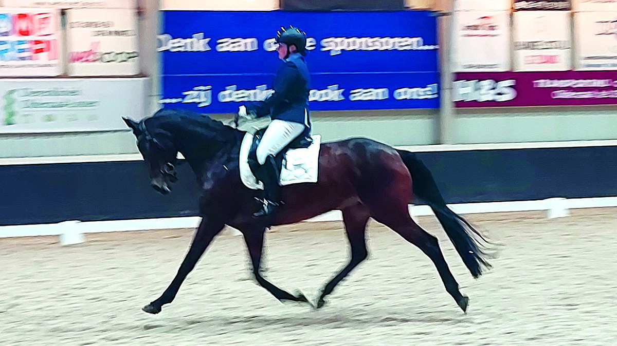 In actie zien we hier de kampioene in de klasse Z1 Colleen Swennenhuis met Nanette Dsd.jpg