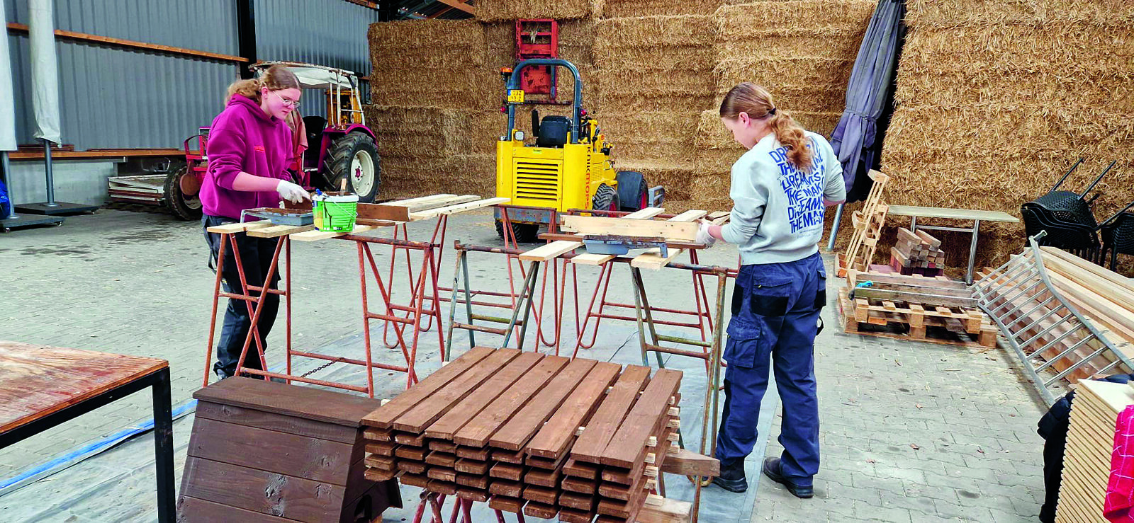 D - erve meinders 3.jpg