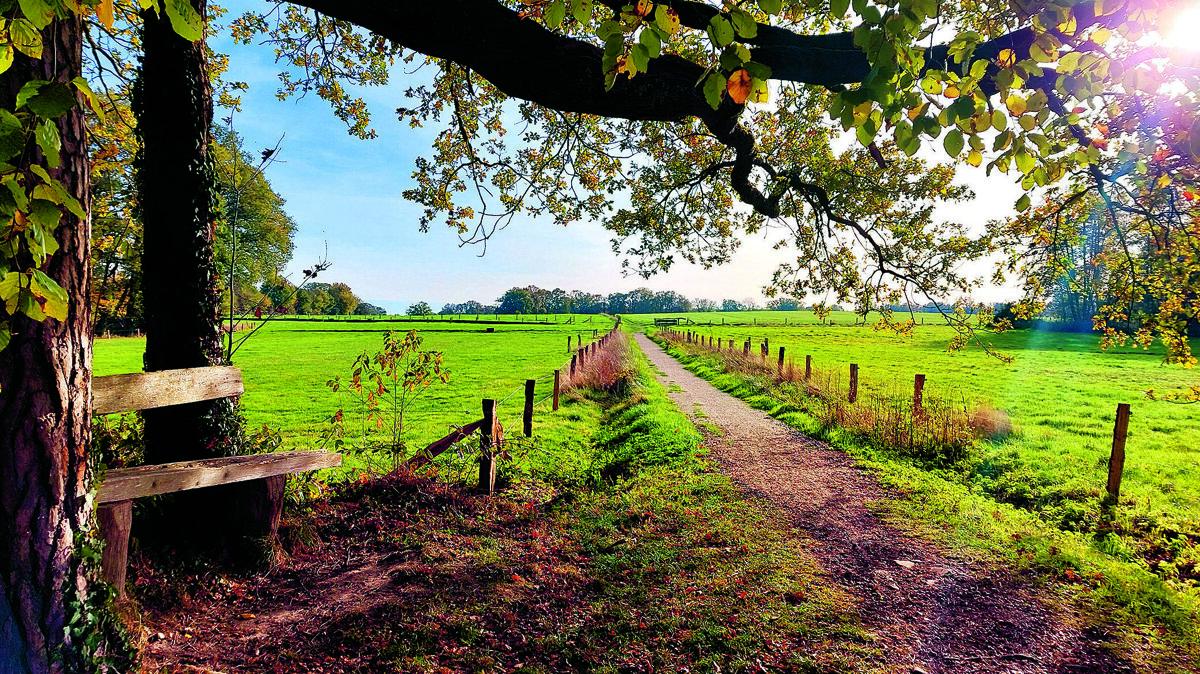 Hakenberg herfst.jpg