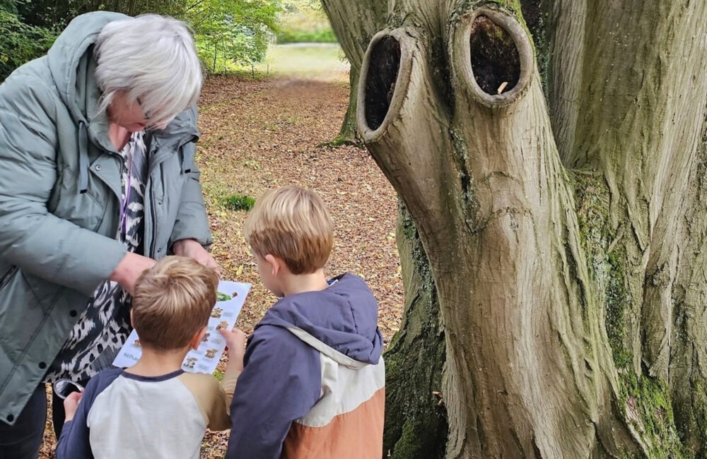 Scharrelkids herfst 2026