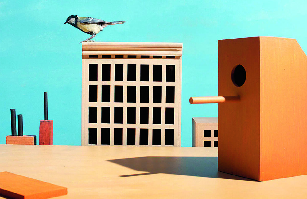 Hans van Asch-Foto The Horizontal City, 2023.jpg