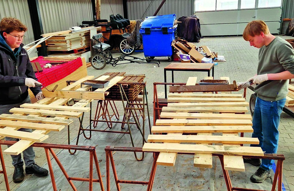 D - erve meinders 13.JPG