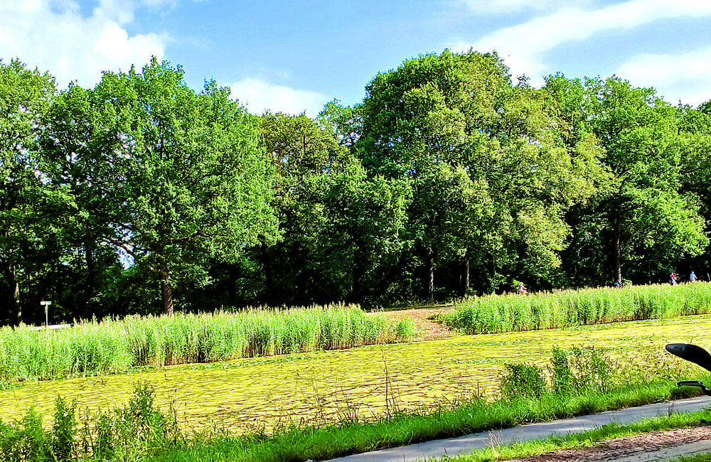 Het Almelo Nordhornkanaal zoals het er momenteel uitzieke