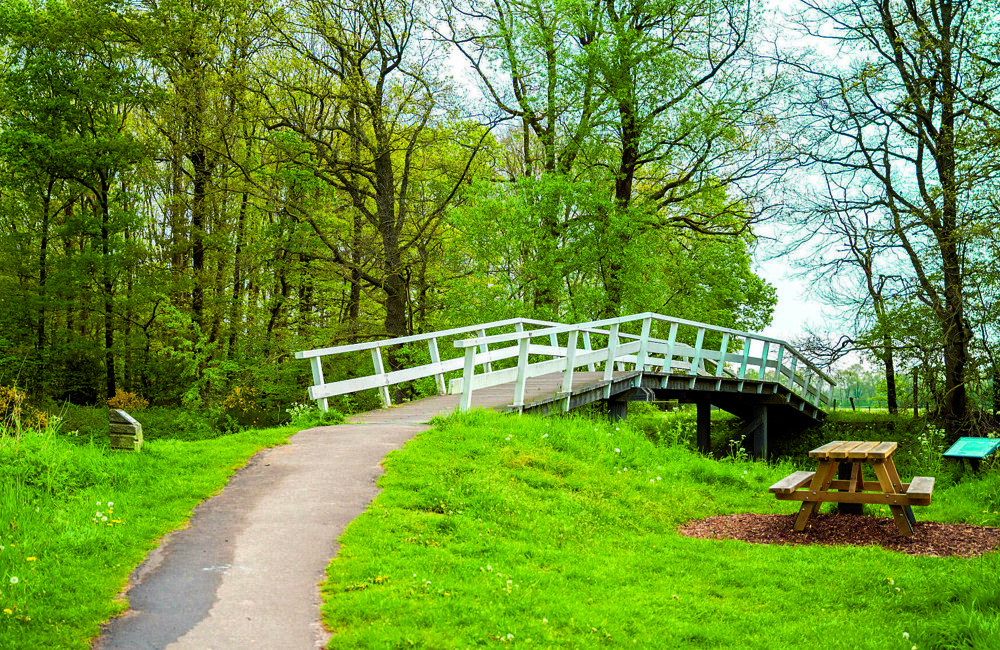 buitengebied Losser.jpg