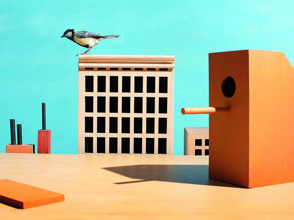 Hans van Asch-Foto The Horizontal City, 2023.jpg