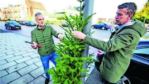 foto plaatsen kerstbomen