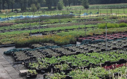 Schermafbeelding 2025-12-01 om 16.22.16.png