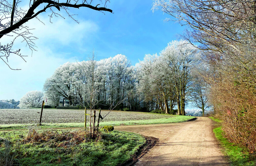 Hakenberg winter 5 2021.jpg