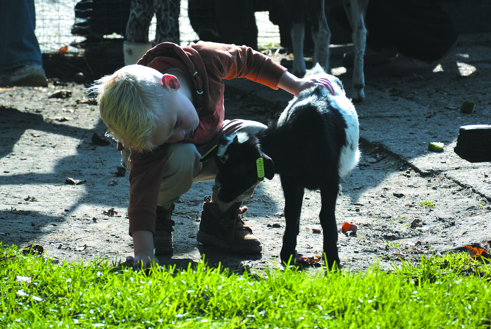 Dierendag2