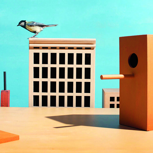 Hans van Asch-Foto The Horizontal City, 2023.jpg