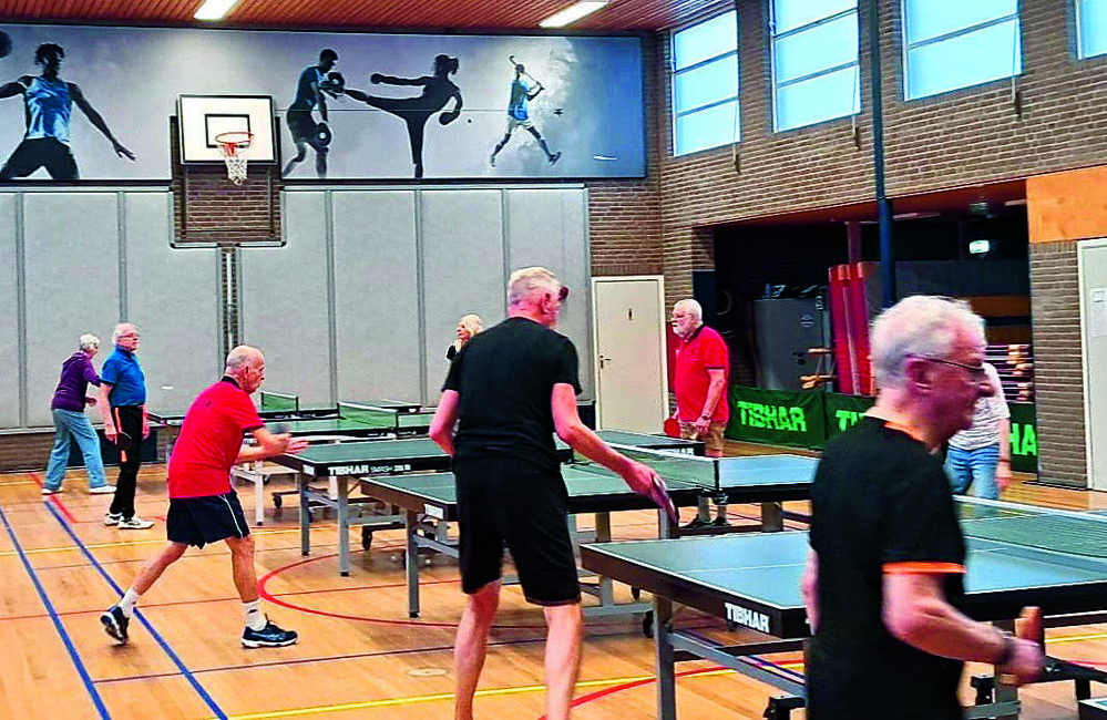 Afbeelding van WhatsApp op 2025-11-12 om 21.01.53_3.jpg