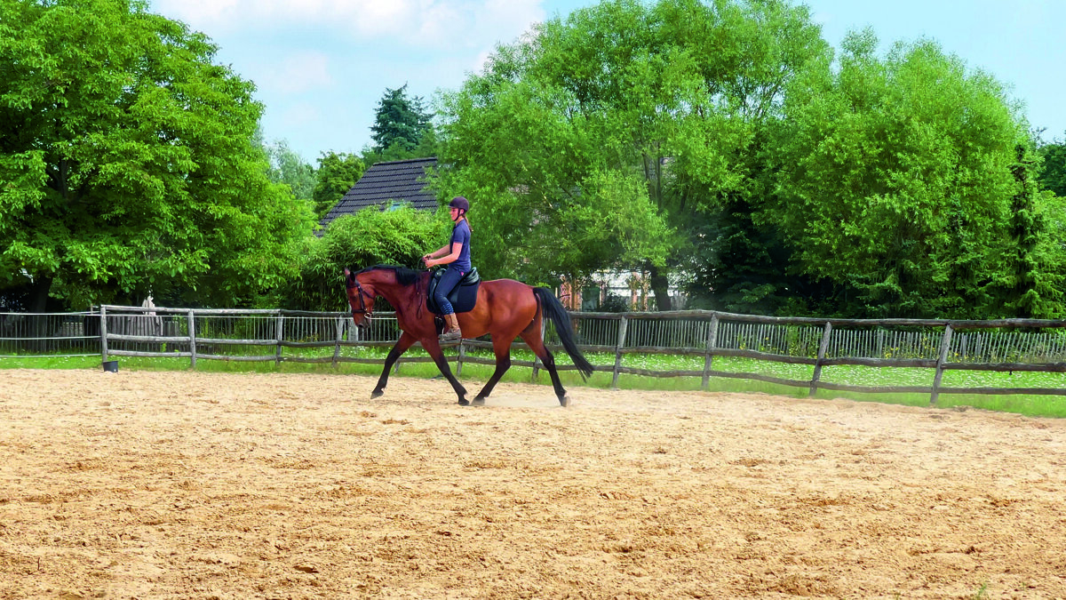 RevalidatieStalDeKuper1