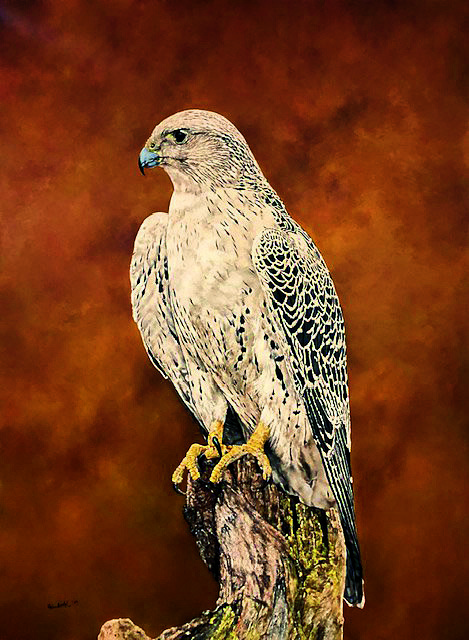 Erna Goudbeek -img2 .jpeg