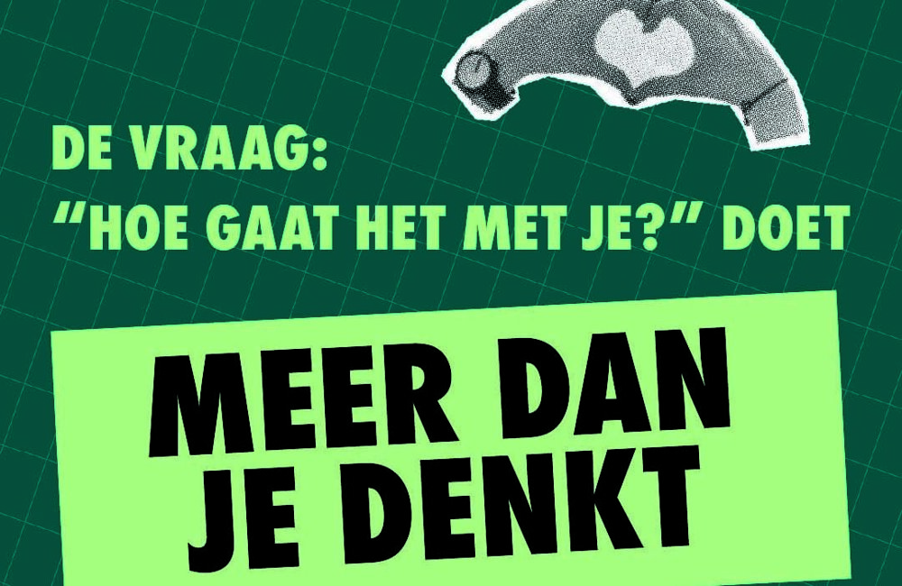 Hoegaathetmetje-Feed.jpg