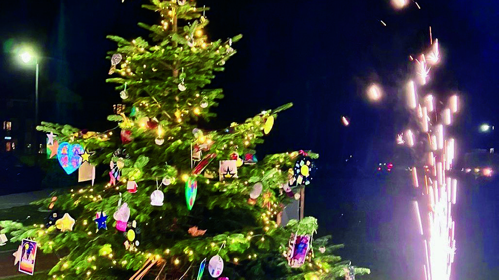 Wensboom Weerselo in het licht.jpg