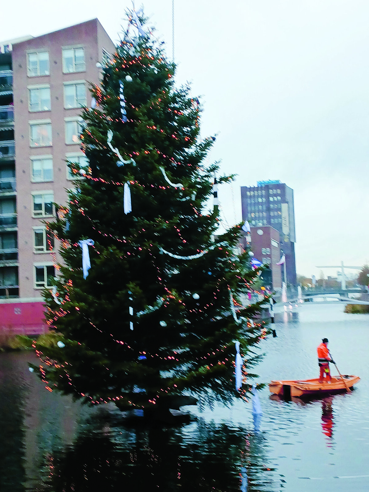 De fraaie Kerstboom staat.jpg
