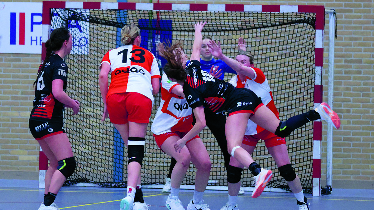 a dsvd - kwiek 14-2-2026 (26) foto Clemens Brughuis.JPG