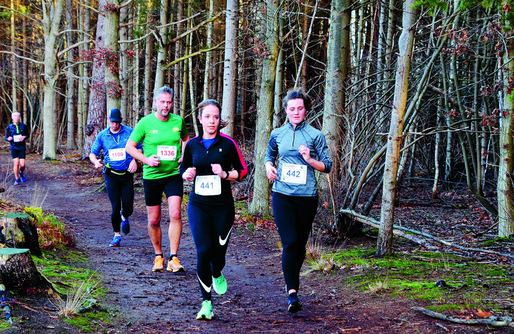 De cross gaat al die jaren door het Nijreesbos.JPG