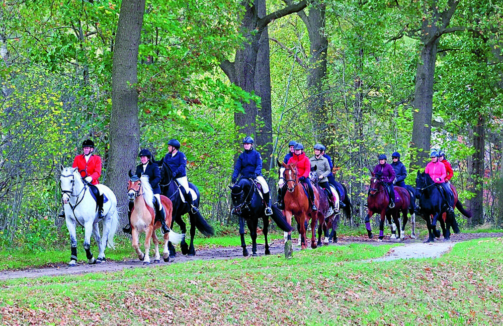aankondiging Hubertusrit in Op en rond de Essen.jpg