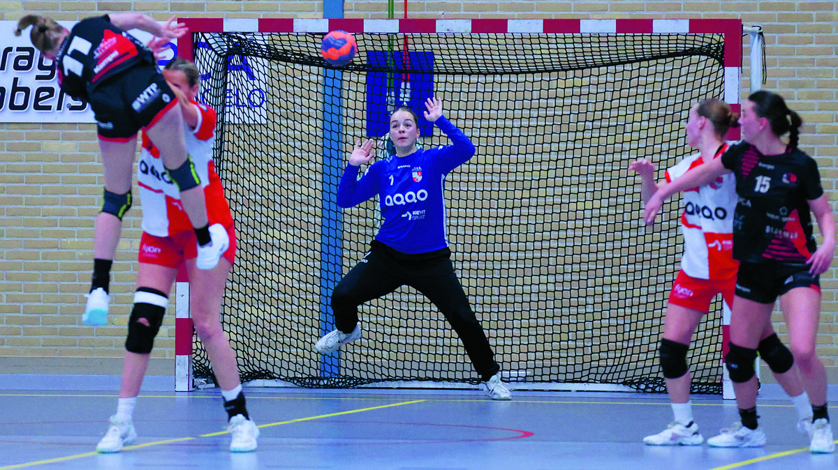 a dsvd - kwiek 14-2-2026 (24) foto Clemens Brughuis.JPG