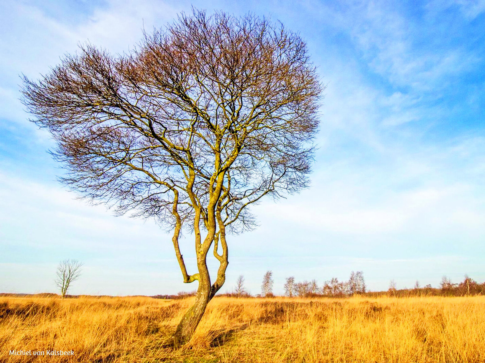 Cursus natuurfotografie IVN 3.jpg