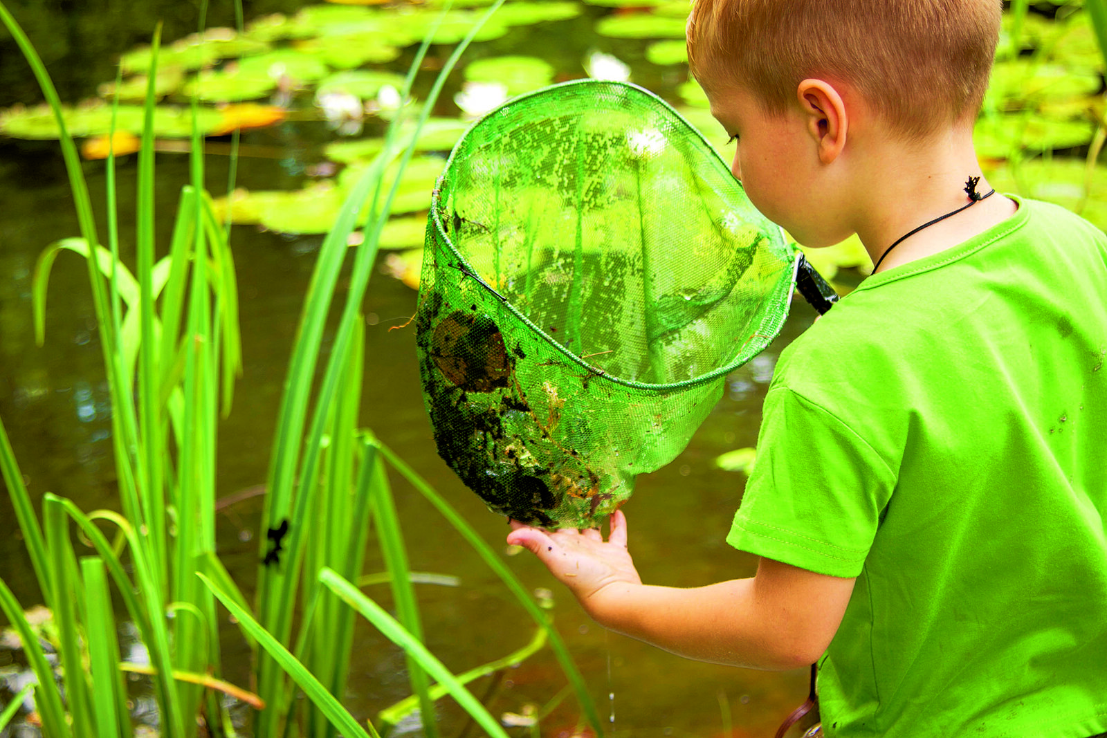 Natura Docet - Jongen met waterbeestjes.jpg